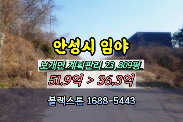  안성시 보개면 임야 경매 2만평 개발부지 [2024타경42667]