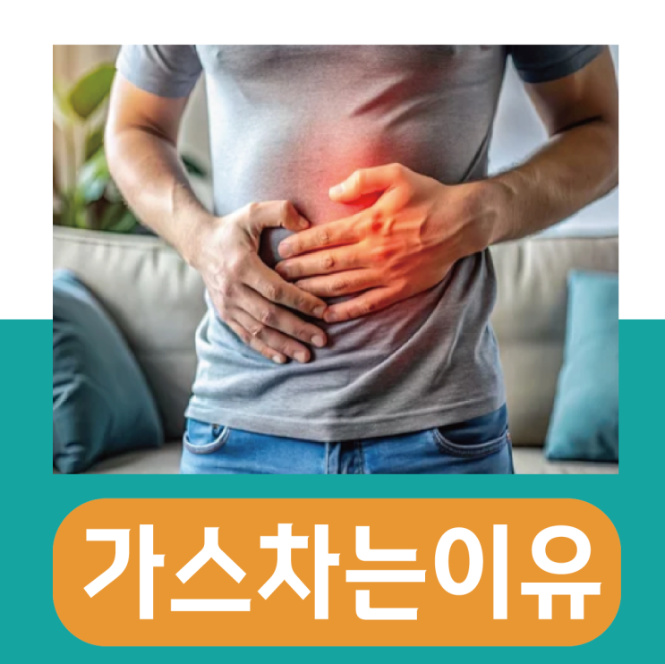  장에 가스차는 이유, 이것만 알면 해결할 수 있습니다!