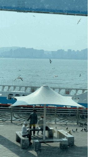  [뚜벅이/수도권 당일치기 혼자 여행 ①] 생각정리하러 무작정 떠난 여행 (신포국제시장-월미도-영종도)