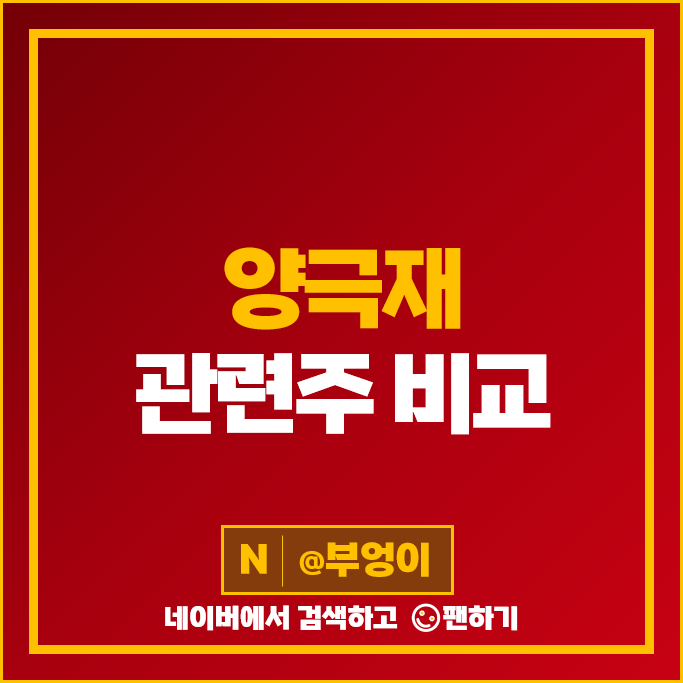 2차전지 양극재 관련주 LS 에코프로 주가 LG화학 탑머티리얼 주식 2차전지 양극재 관련주 LS 에코프로 주가 LG화학 탑머티리얼 주식