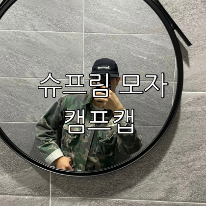 사진 3