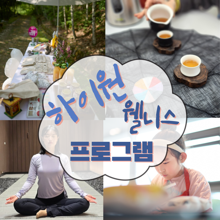  하이원 웰니스 프로그램 몸과마음치유를 위한 강원도 여행