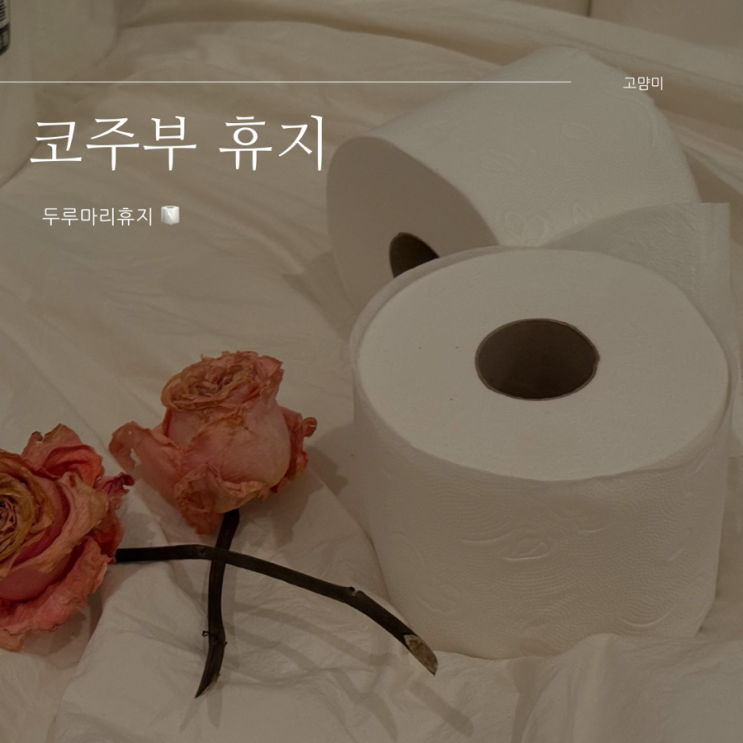  두루마리휴지추천 ㅣ 코주부 나무대신 3겹 휴지 ㅣ 비데겸용휴지추천 ㅣ 부림제지