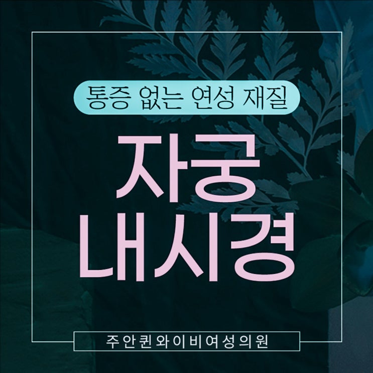  주안 퀸와이비여성의원, 자궁 건강을 위한 자궁내시경 검사