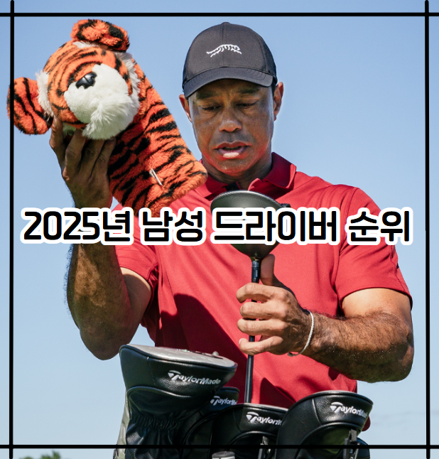 2025년 남성 드라이버 순위 특징 분석