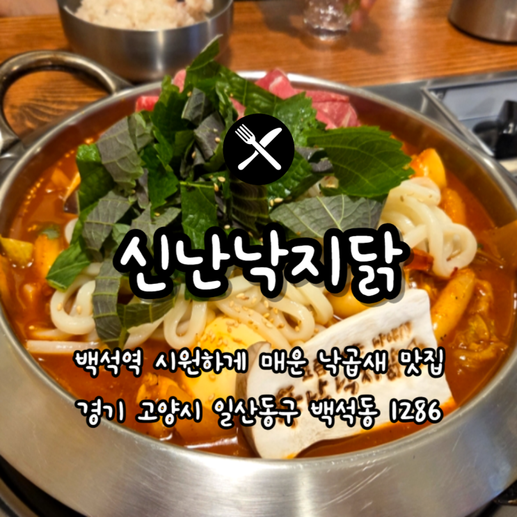  백석역 신난 낙지닭, 애견동반 가능한 매운맛 맛집 낙곱새 후기