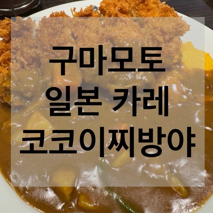 구마모토 쿠마모토 야식 저녁 일본 카레 맛집 찾는다면 코코이찌방야 신시가이