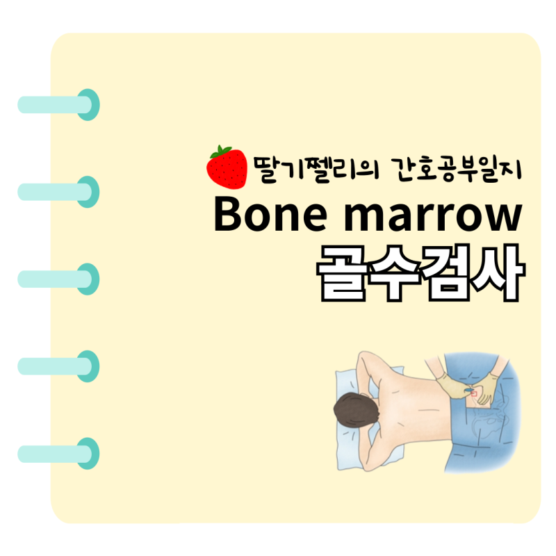 Bone marrow 골수 천자 및 생검 검사| 목적, 진단, 간호