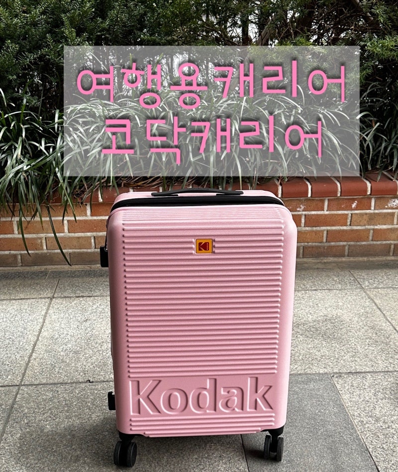 24인치 예쁜캐리어 트렌디 코닥캐리어 추천