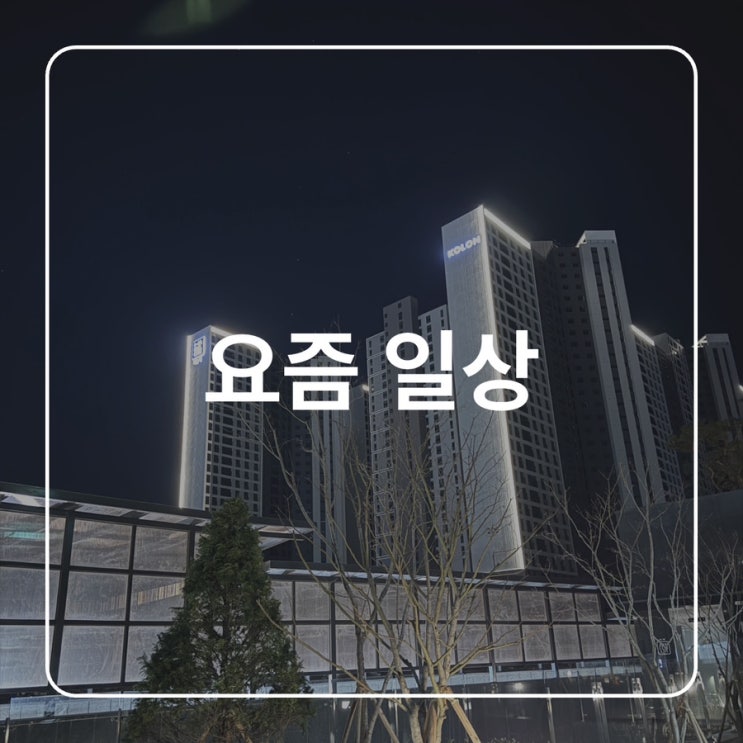  [일상] 요즘 일상