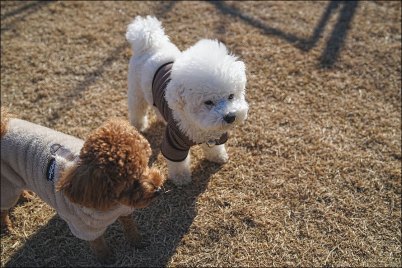 사진 11