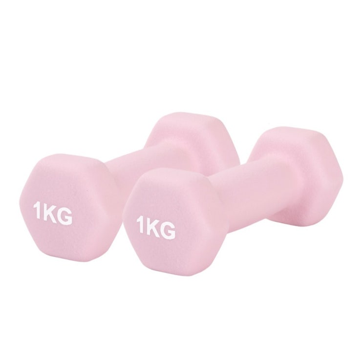 리브스포 논슬립 아령, 1kg, 2개