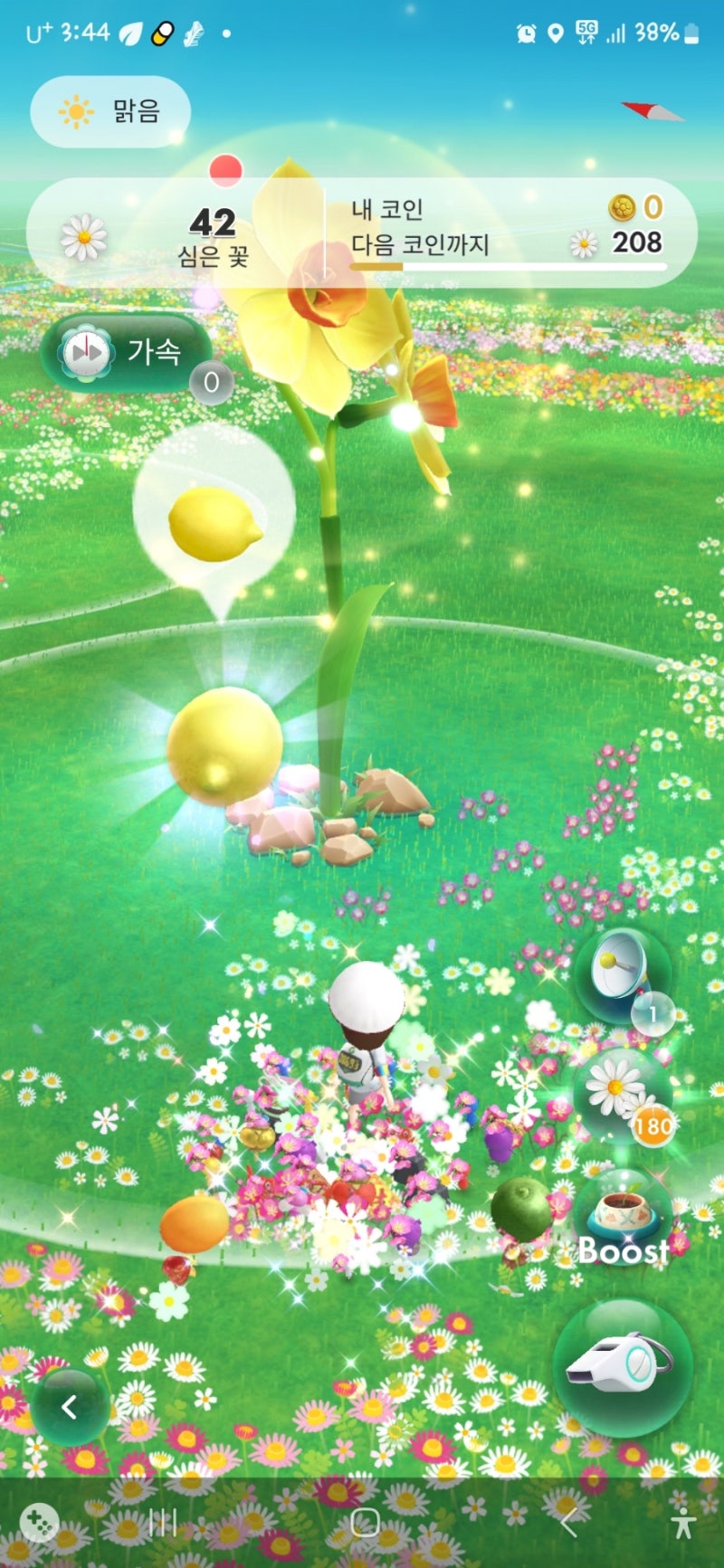 피크민블룸 17일차/치열하게 쉴틈없는 버섯파괴 미션!!!/꽃심기 미션중 알게된 노하우/3월 카니발데코 피크민도 귀엽잖아♡ : 네이버  블로그