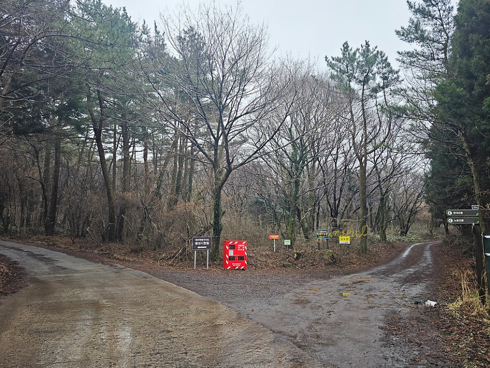 다래오름북동쪽 사진 4