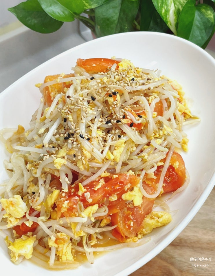  토마토계란볶음 레시피 숙주나물 넣고 토달볶음 만들기 간단 달걀 볶음요리