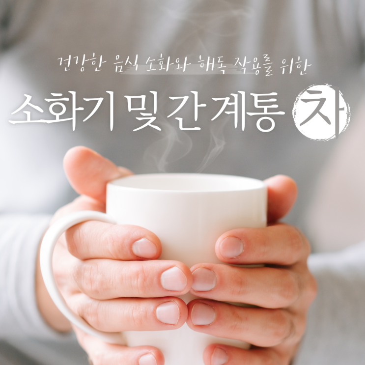  소화기 질환 및 간 건강에 좋은 차, 증상별 추천 리스트