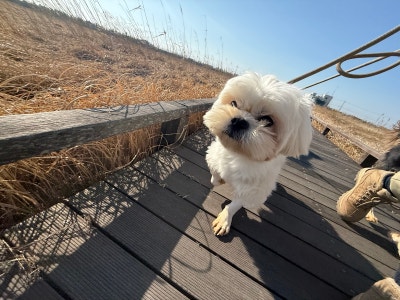 사진 4