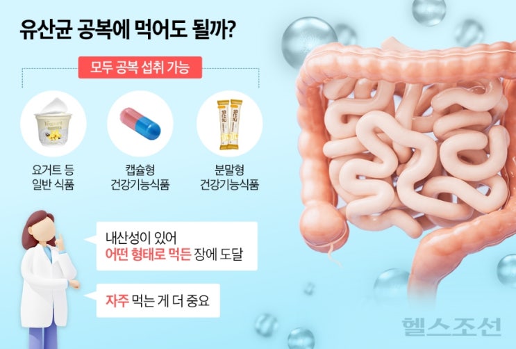 유산균, 언제 먹는 게 좋을까? 빈속에 vs 공복에 먹으면 사멸? 유산균, 언제 먹는 게 좋을까? 빈속에 vs 공복에 먹으면 사멸?