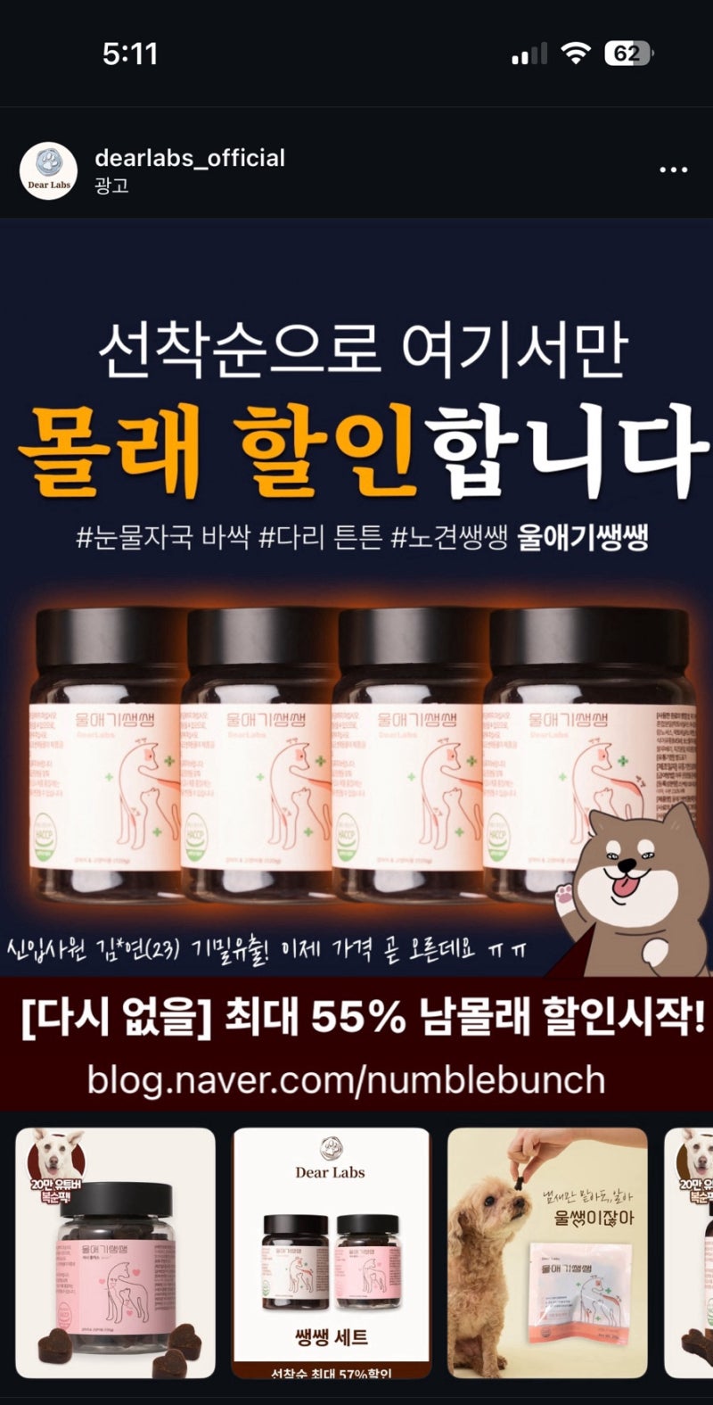 [협찬X] 9살 노견 영양제 추천, 울애기쌩쌩
