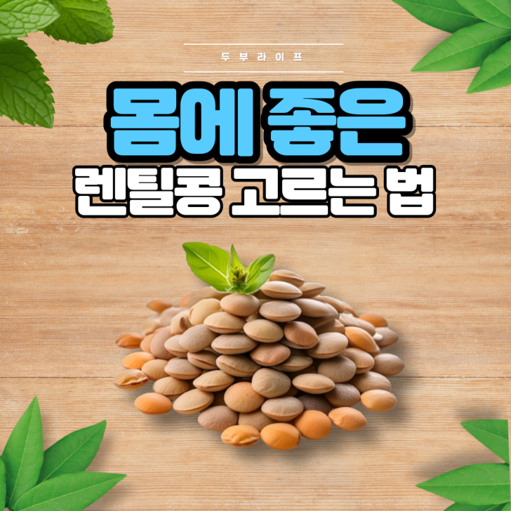  몸에 좋은 렌틸콩 고르는 법(효능, 부작용, 보관법, 슈퍼푸드, 구분, 색상)