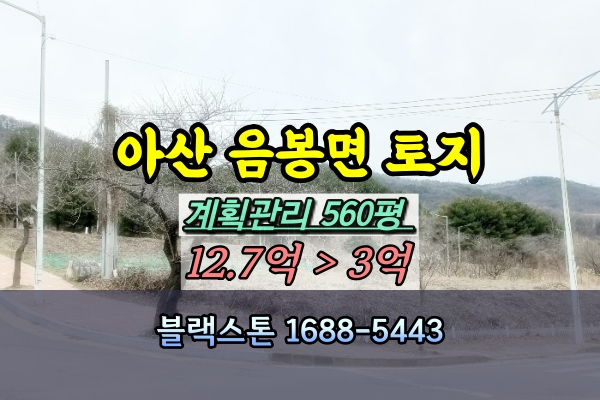  아산시 대지 경매 스파비스앞 500평대 3억 [2024타경102461]