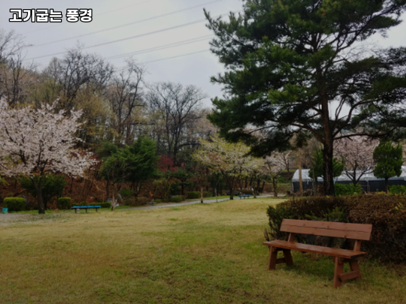 사진 4