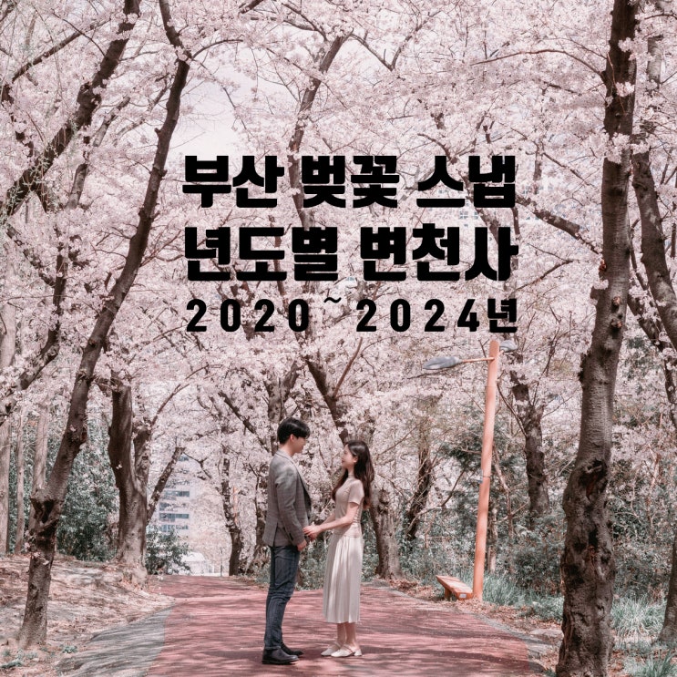  부산 벚꽃 스냅 촬영, 5년간의 발자취 봄꽃 여행 추천