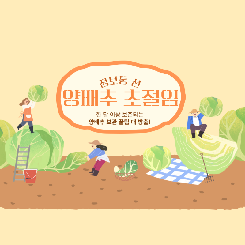 양배추 초절임 다이어트, 건강 한 번에 챙기는 초간단 웰빙 반찬
