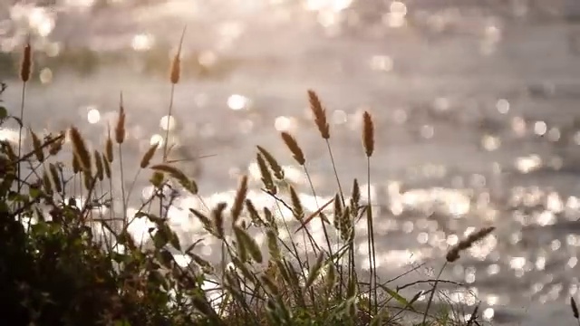  , 사회복지사 학력 상관없이 학은제로 빠르게