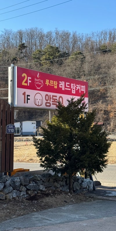 사진 3