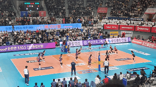 여자배구 대전 충무체육관 직관후기 + 김연경 은퇴투어 + 정규리그 시상 + 남은경기 일정