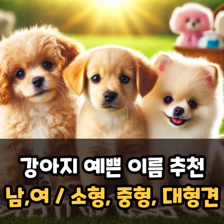  강아지이쁜이름 추천