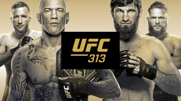  UFC 313 전체 라인업 총정리, 중계 정보