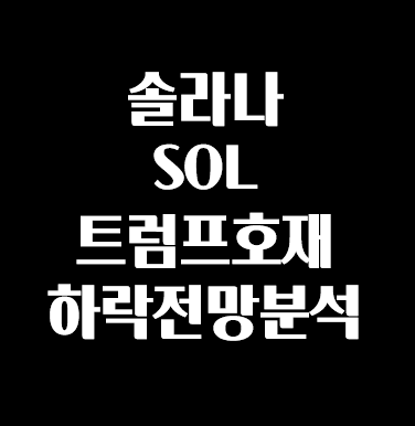 알트 <b>솔라나</b> SOL 코인정보 트럼프호재 <b>하락</b>전망분석