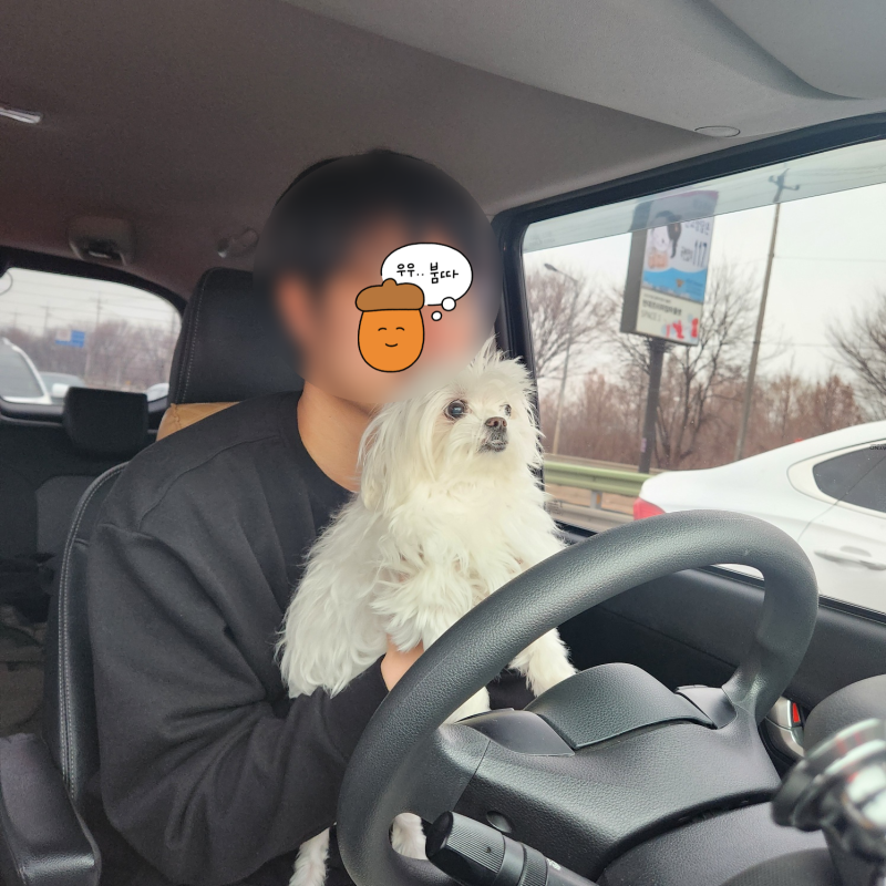 사진 5