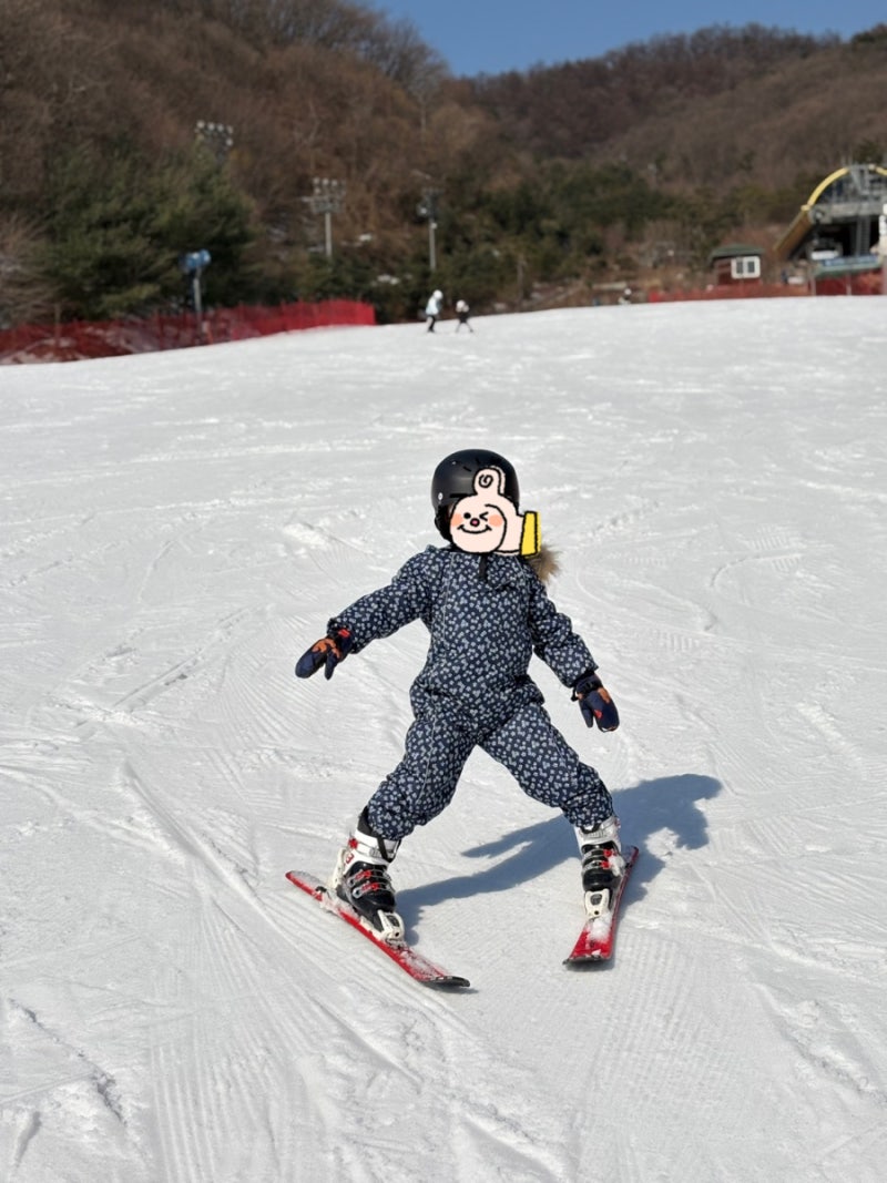 조이 일상 / 2월의 기록들 : 네이버 블로그