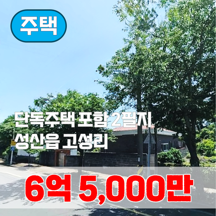  【매매】 고성교차로 인근 단독주택 포함 2필지