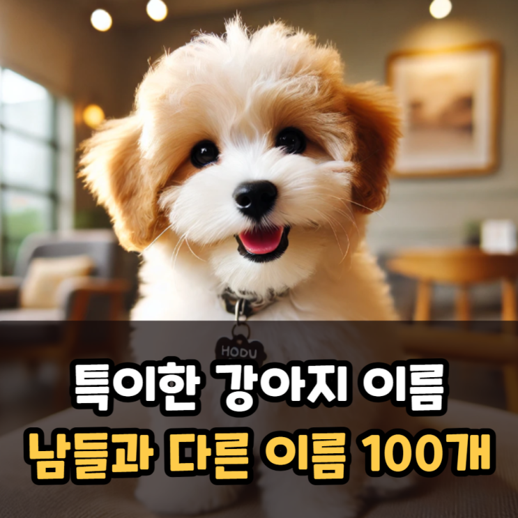  특이한강아지이름 추천 남들과 다른 이름 100개