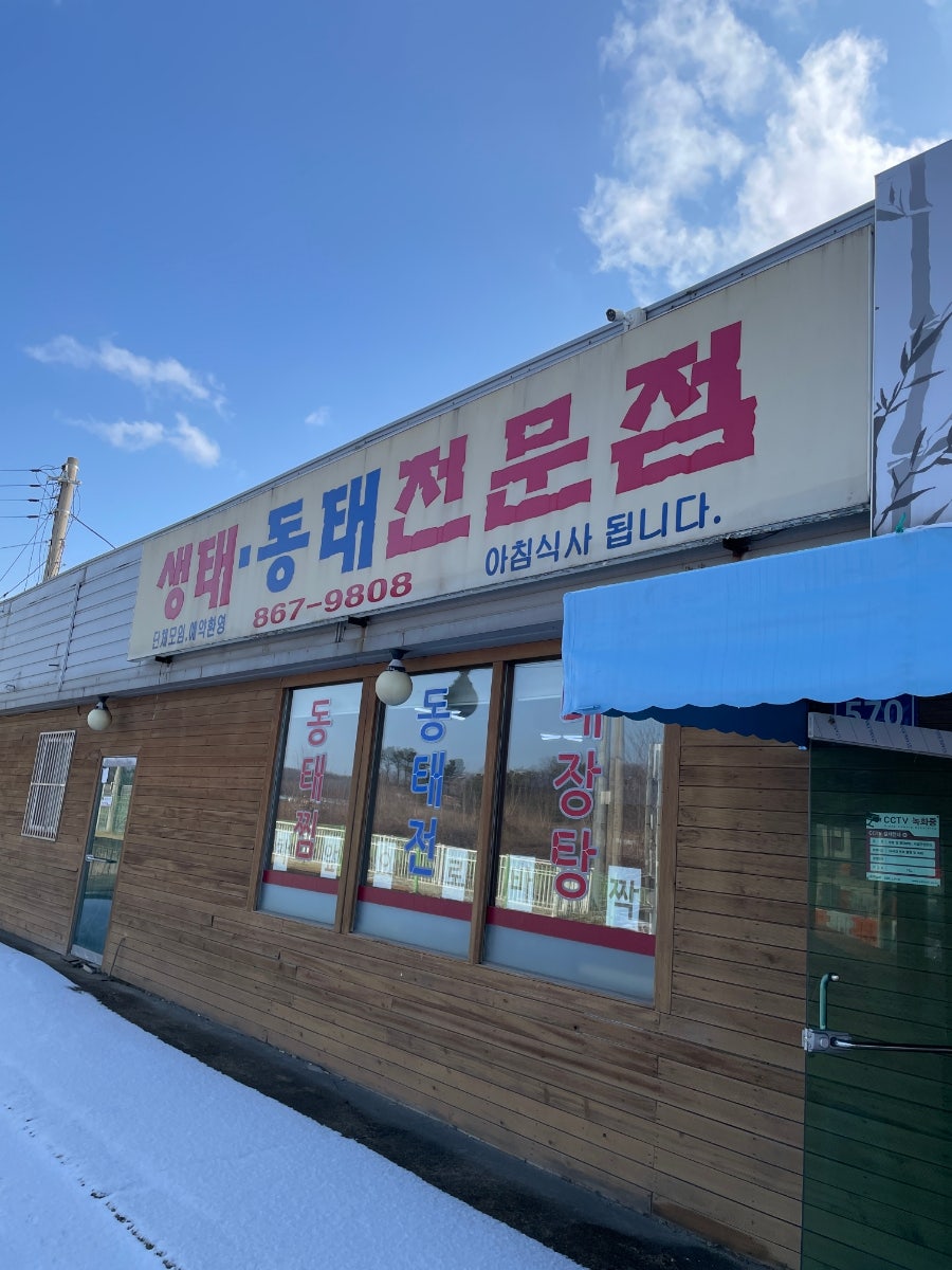 생생동태생태 사진 1