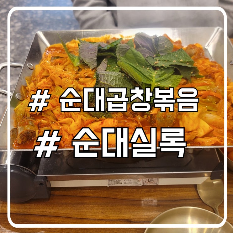  안산 반달섬맛집 자극적이지 않은 순대곱창볶음 순대실록