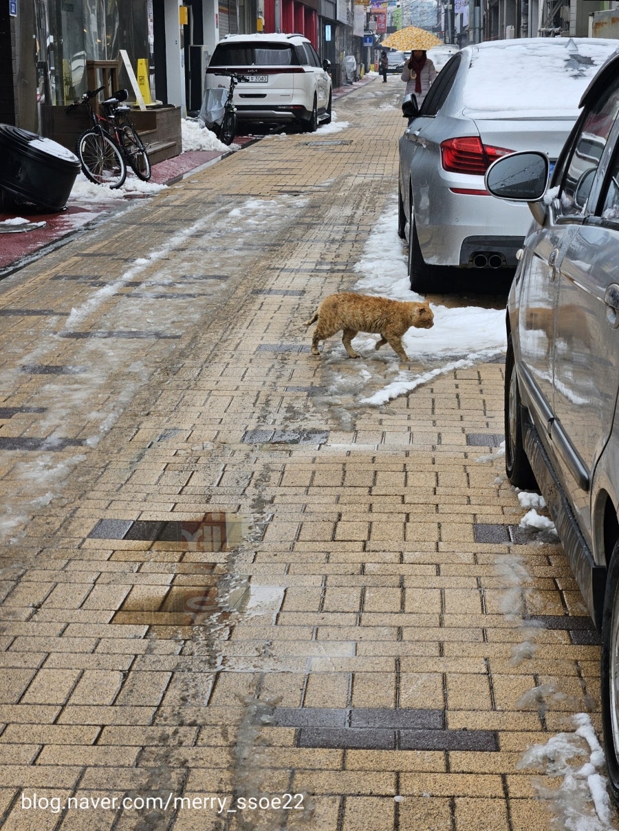 윈썸 사진 4