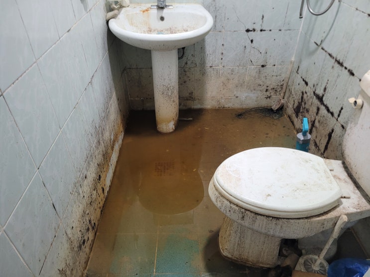  건물주 기겁한 원룸 화장실 역류 변기 오물 역류 뚫는 법 서울 경기