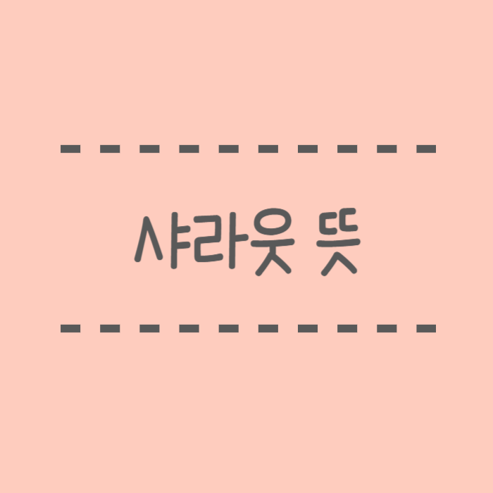  샤라웃 뜻, 리스펙트 , 샤라웃투 차이, 힙합,문화 예시 활용법
