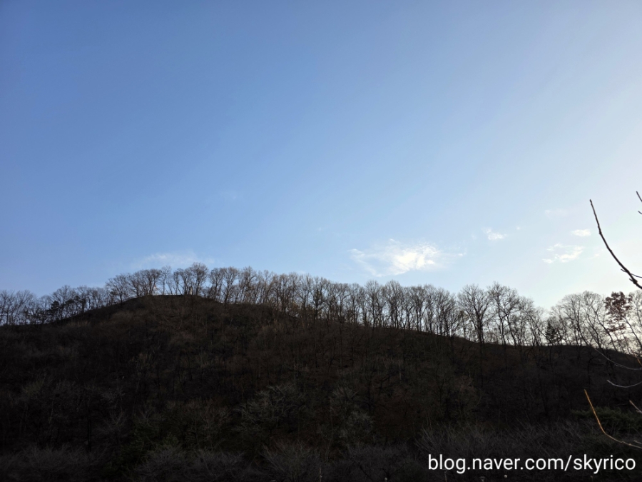 파리바게뜨 충북영동점 사진 1