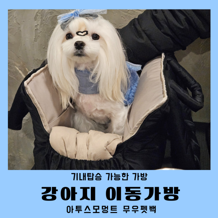  강아지이동가방 기내탑승 사이즈 가벼운 아투스모멍트 무우펫백 후기