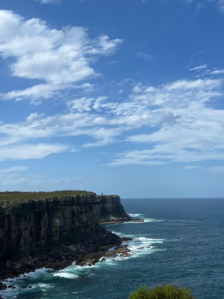  [시드니] 맨리비치(Manly Beach) 그리고 노스헤드 전망대 국립공원(North Head)