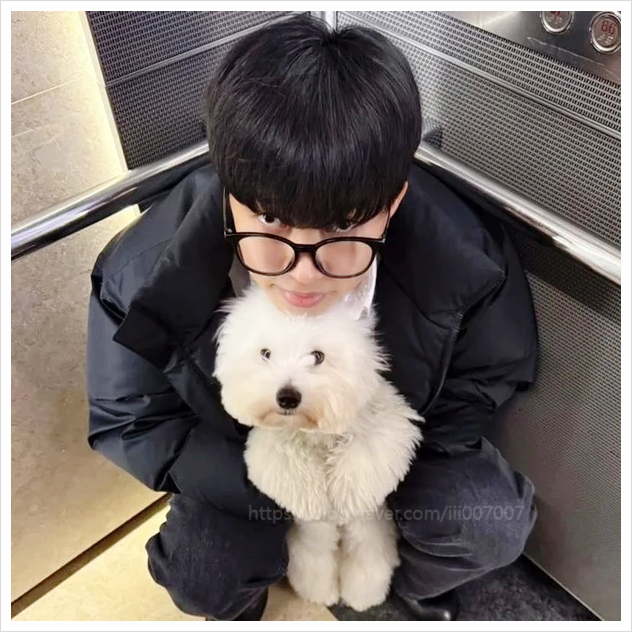  임영웅 뭐요 정치인 논란후 근황 K리그 관람 반려견 SNS