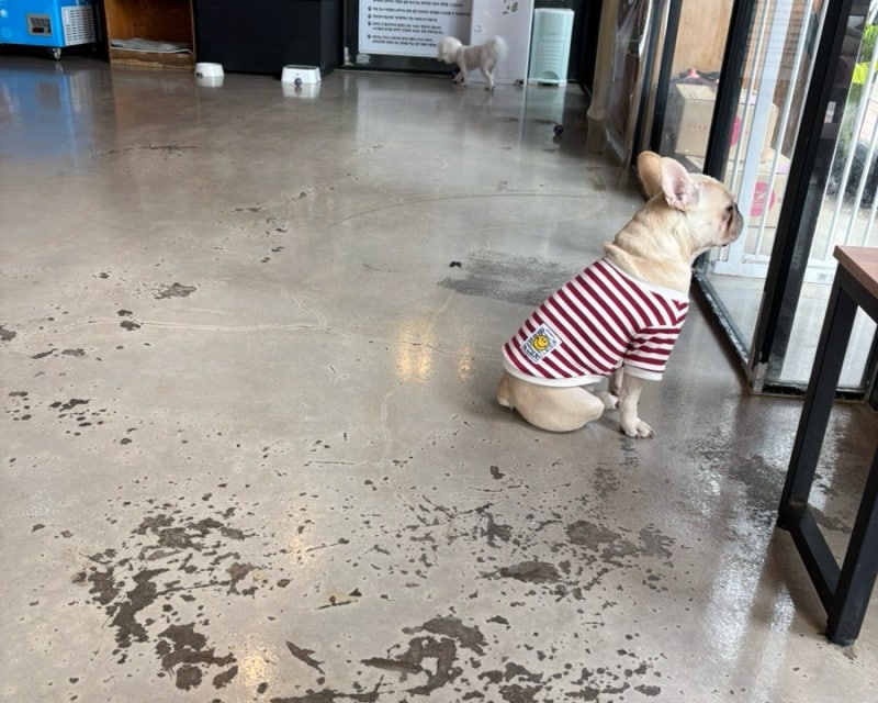 사진 2