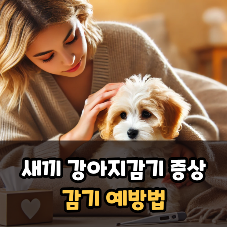  새끼 강아지감기 증상 예방법