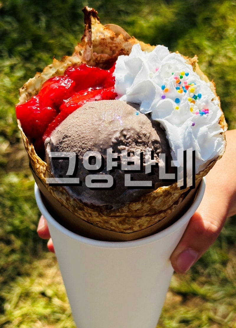 커피차 가격 비용 총정리 : 섭외부터 이용까지 완벽 가이드 : 네이버 블로그